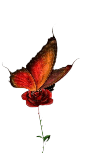papillon marron.Cheyenne63 - PNG gratuit