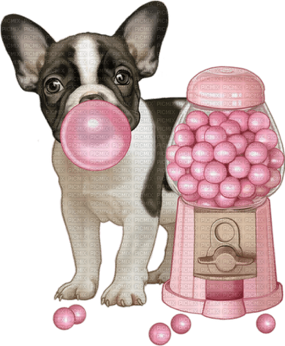 dog bubblegum candy pink - zdarma png
