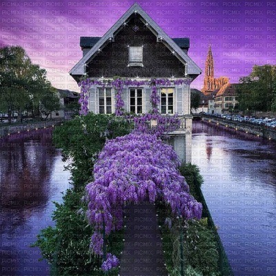 WISTERIA HOUSE BOAT - gratis png