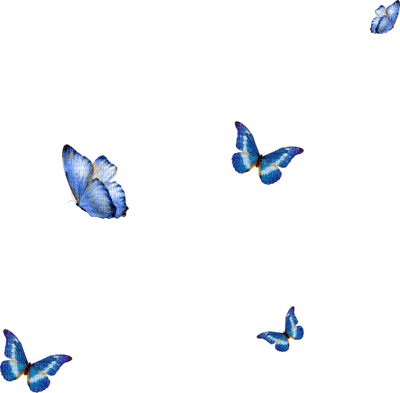 butterflies katrin - фрее пнг