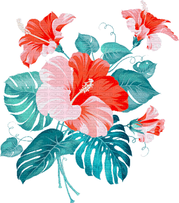 soave deco summer animated flowers tropical branch - Besplatni animirani GIF