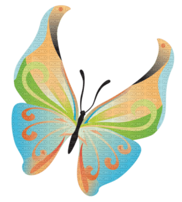 butterfly - kostenlos png