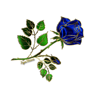 blue rose - darmowe png