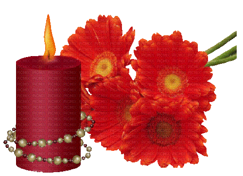 Kerze, Blumen - Gratis animerad GIF