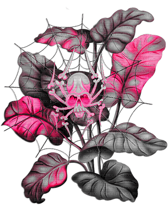 soave deco gothic halloween leaves branch skull - PNG gratuit