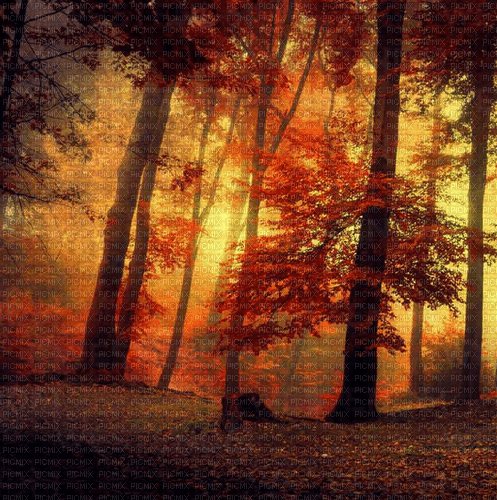 Autumn background - PNG gratuit