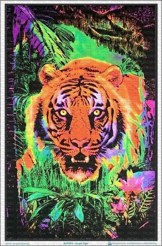 rainbow neon tiger art poster - png gratis