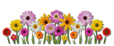 Kaz_Creations Deco Flowers Colours - png ฟรี