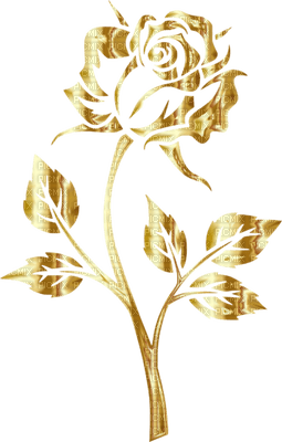 flowers gold bp - PNG gratuit