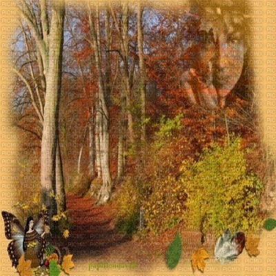 Herbst automne autumn - png gratuito