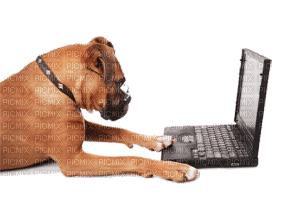 Kaz_Creations Dog Laptop - GIF animado grátis