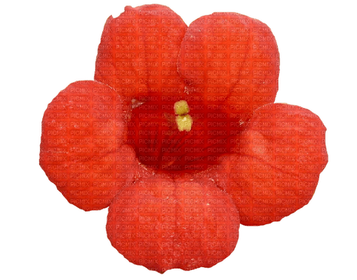 Blüte - безплатен png
