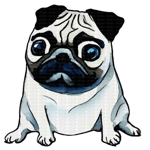 kikkapink dog pug watercolor animal - gratis png