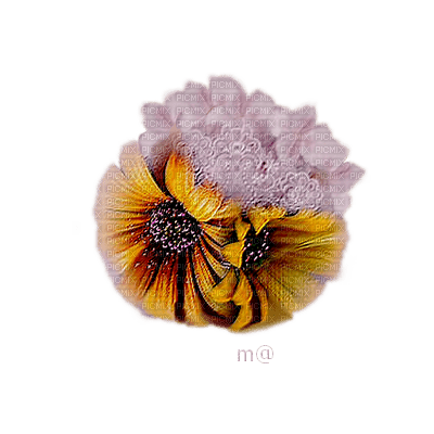 flower-yellow-lace - Free PNG