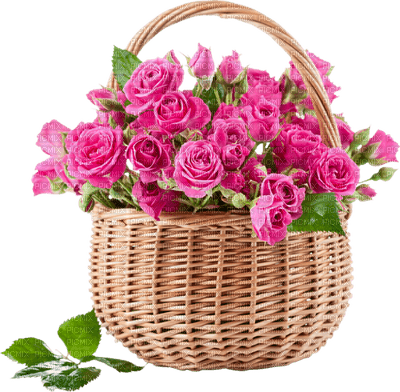 Kaz_Creations Deco Flowers Basket Colours - δωρεάν png