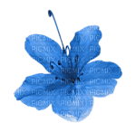 Kaz_Creations Deco Flowers Flower Colours - δωρεάν png