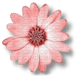 soave deco flowers scrap pink - Free PNG
