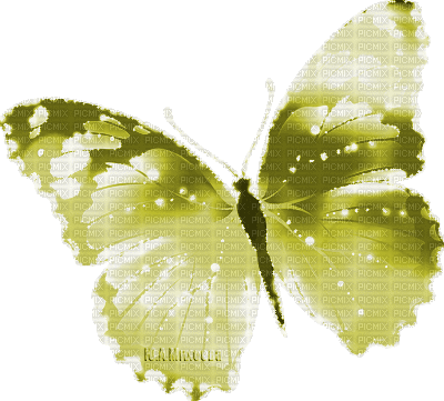 Y.A.M._Fantasy Butterfly yellow - GIF animado grátis