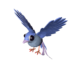 pájaro azul - Gratis geanimeerde GIF