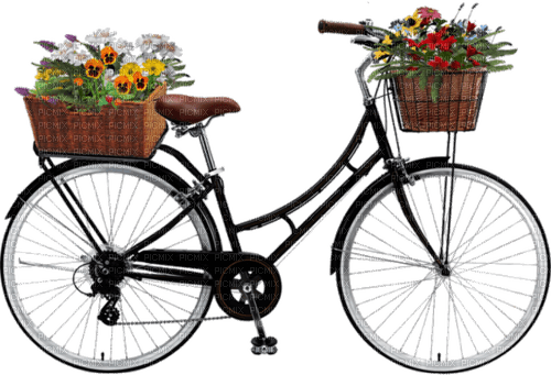 Frühling, Blumen, Fahrrad - gratis png