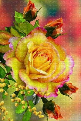 MMarcia fundo flores rosas - png gratuito