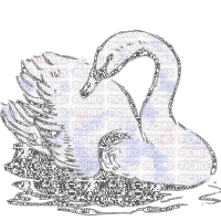 лебедь блеск - GIF animado gratis