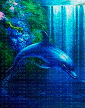 Dolphins-Nitsa P - 免费动画 GIF