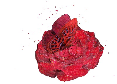 rose rouge.Cheyenne63 - GIF animado gratis