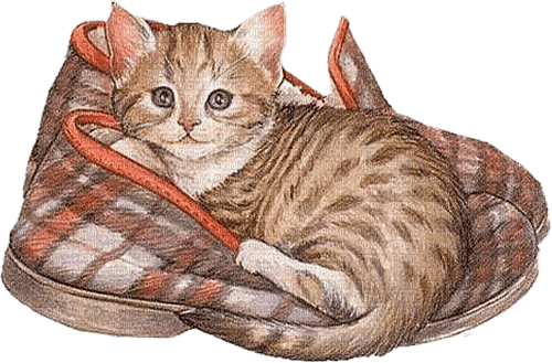 Winter.Cat.Chat.Gato.Chaussons.Victoriabea - png gratis
