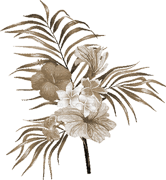 soave deco summer branch flowers animated sepia - Безплатен анимиран GIF