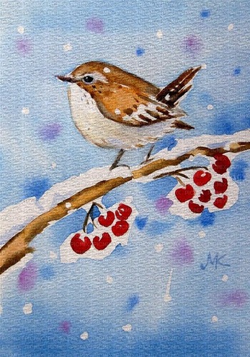 Winter Bird - png gratuito