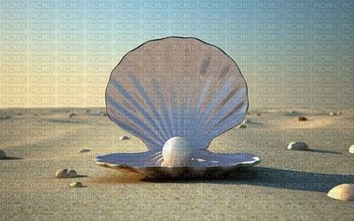 pearl shell bp - δωρεάν png