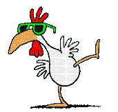 Nina chicken - GIF animate gratis