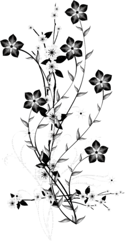 flowers deco black white autumn winter kikkapink - PNG gratuit