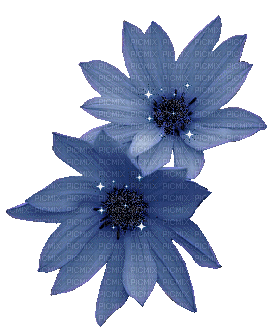 fiori - GIF animado grátis