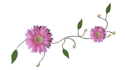flores para decorar - PNG gratuit