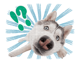 the dog line sticker interrobang - Free PNG