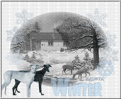 winter place - Gratis animeret GIF