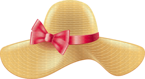 woman hat - zdarma png