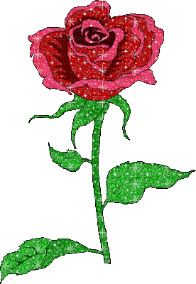 rose rouge - GIF animado grátis