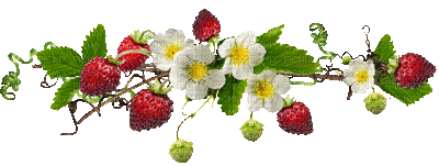 strawberry bp - Gratis geanimeerde GIF