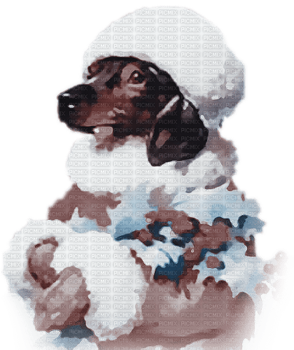 soave animals dog christmas winter blue brown - png gratis