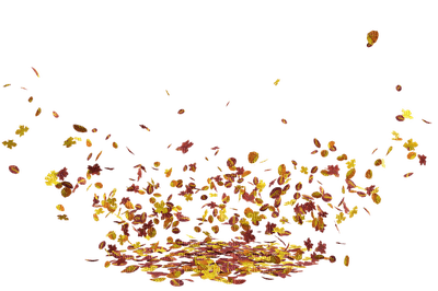 leaves, autumn - darmowe png