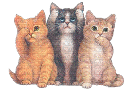 cats - Nemokamas animacinis gif