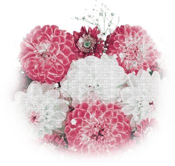 soave deco flowers  Chrysanthemums pink white - фрее пнг