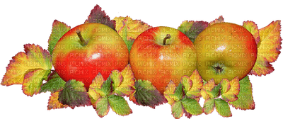 fruit, hedelmä, omena apple - png gratuito