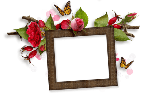 Roses frame - PNG gratuit