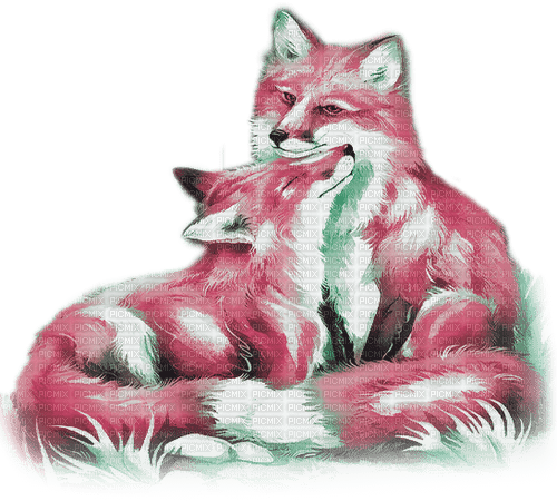 soave animals autumn deco fox couple - фрее пнг