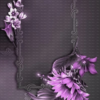 bg-frame-flower-Purple - darmowe png