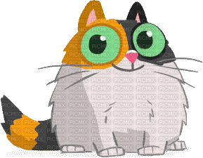 kitty gif  Karina - Darmowy animowany GIF